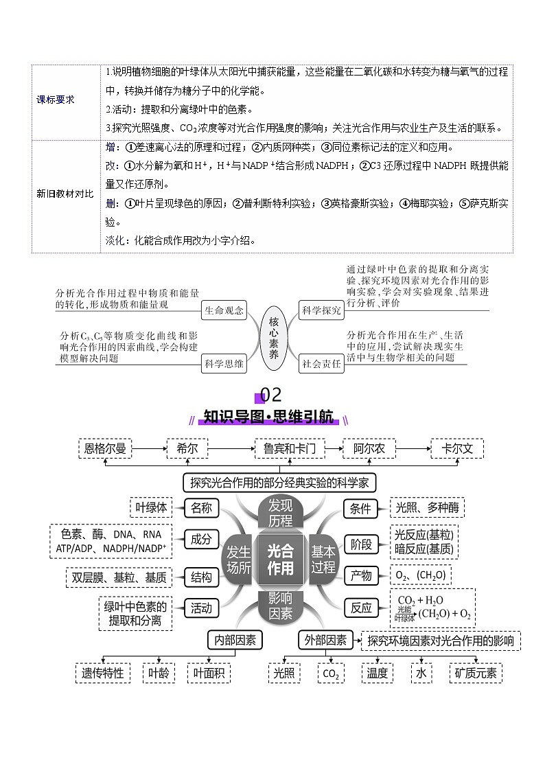 新高考生物一轮复习讲练测第10讲 光合作用（第二课时）（讲义）（解析版）第2页