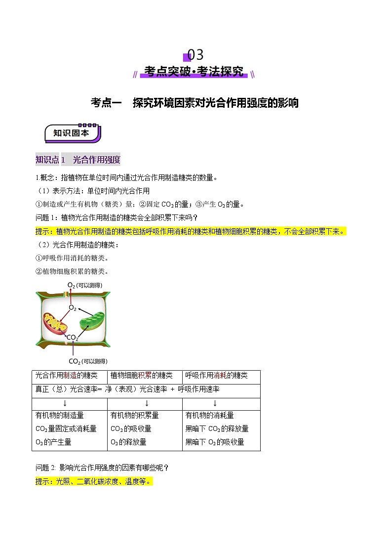 新高考生物一轮复习讲练测第10讲 光合作用（第二课时）（讲义）（解析版）第3页