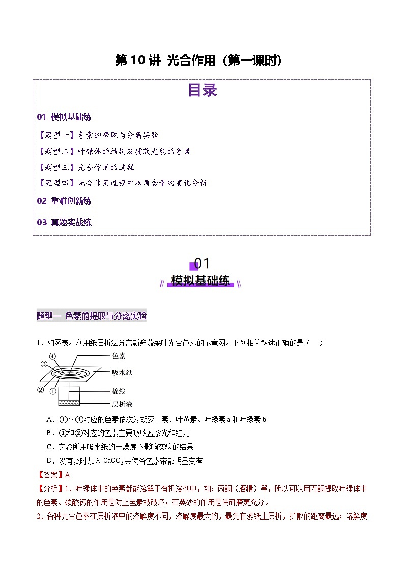 新高考生物一轮复习讲练测第10讲 光合作用（第一课时）（练习）（解析版）第1页