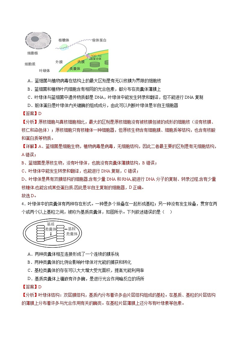 新高考生物一轮复习讲练测第10讲 光合作用（第一课时）（练习）（解析版）第3页