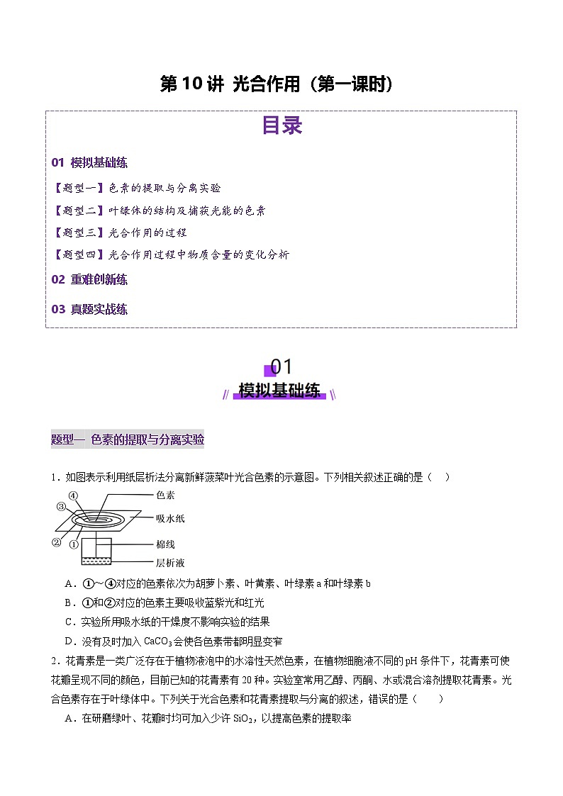 新高考生物一轮复习讲练测第10讲 光合作用（第一课时）（练习）（原卷版）第1页