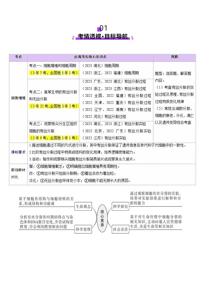新高考生物一轮复习讲练测第12讲 细胞增殖（讲义）（原卷版）第2页