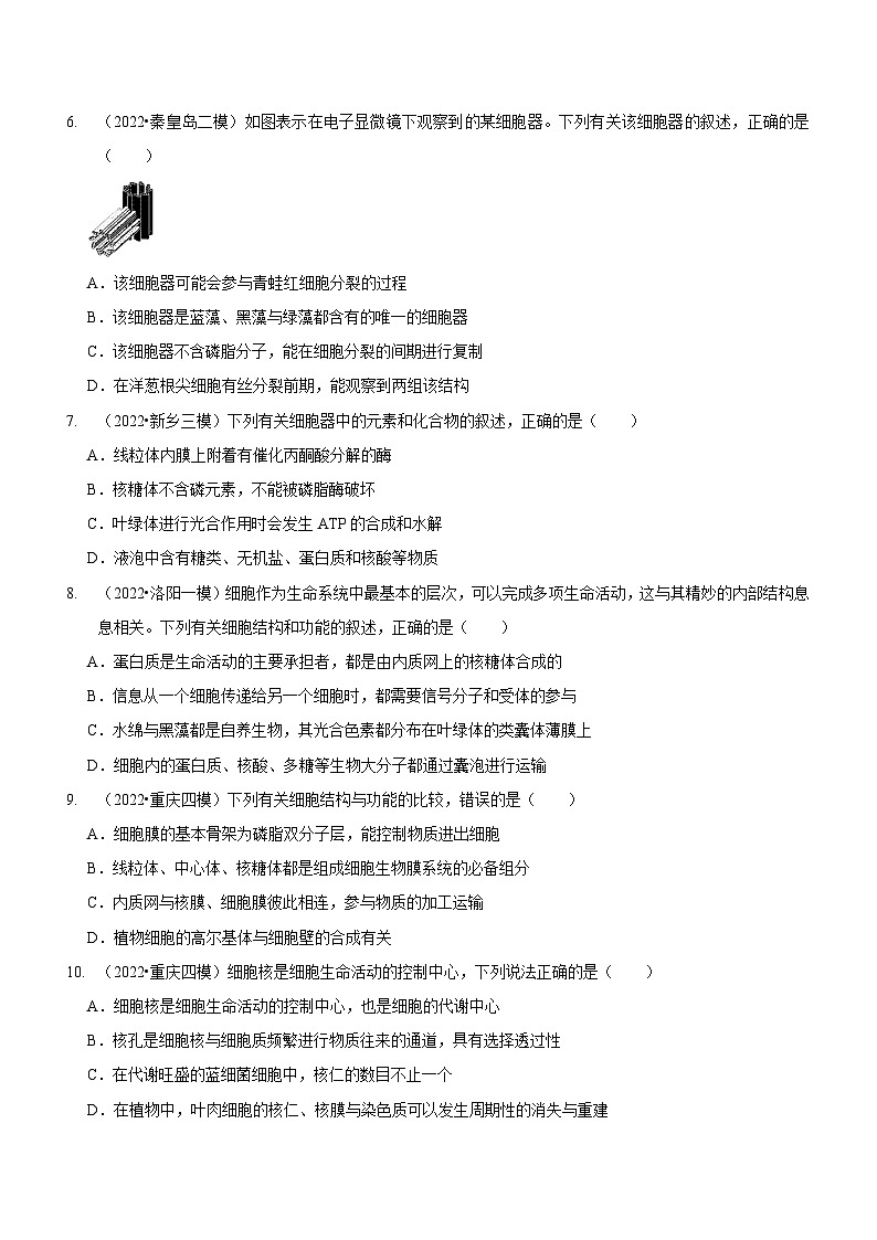 新高考生物二轮复习讲练测第2讲 细胞的结构与功能、物质出入细胞的方式（检测）（原卷版）第2页