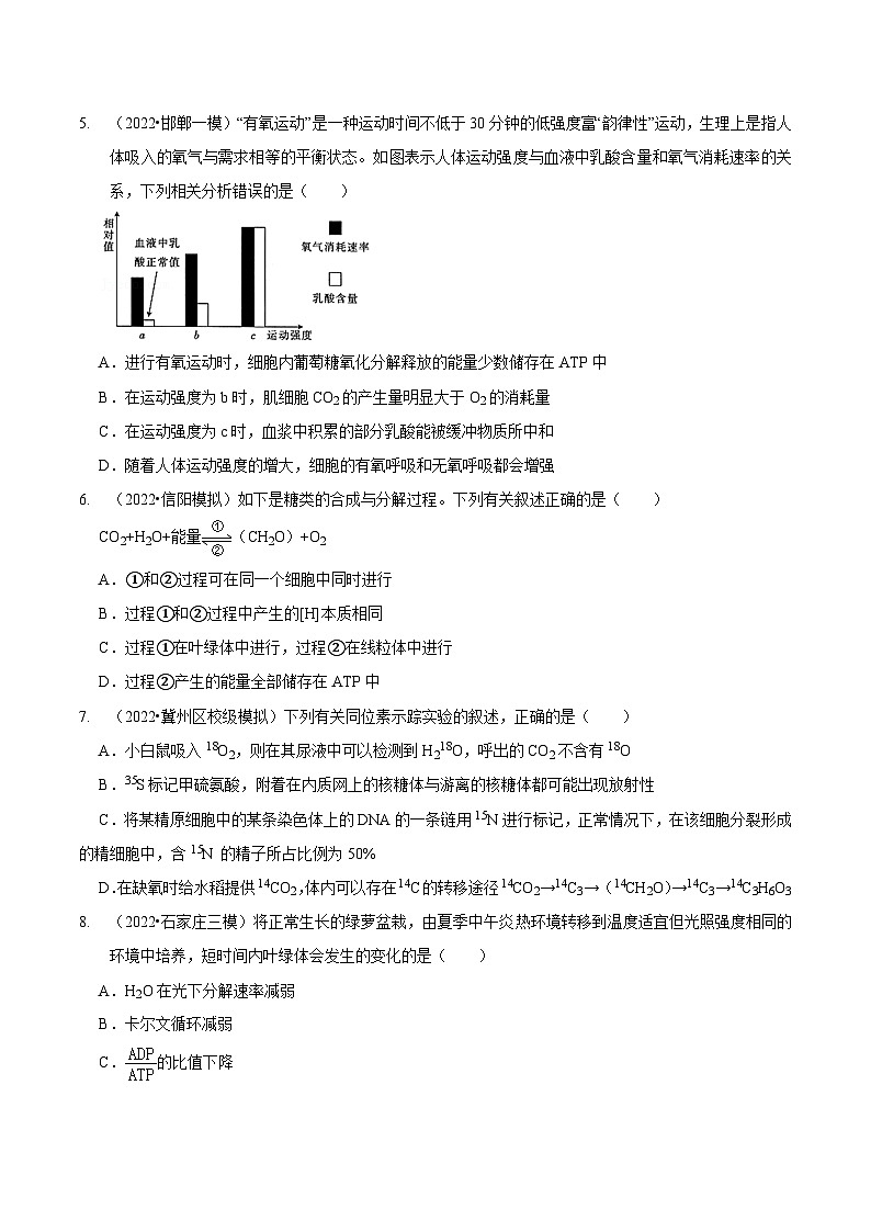 新高考生物二轮复习讲练测第4讲 光合作用和细胞呼吸（检测）（原卷版）第2页