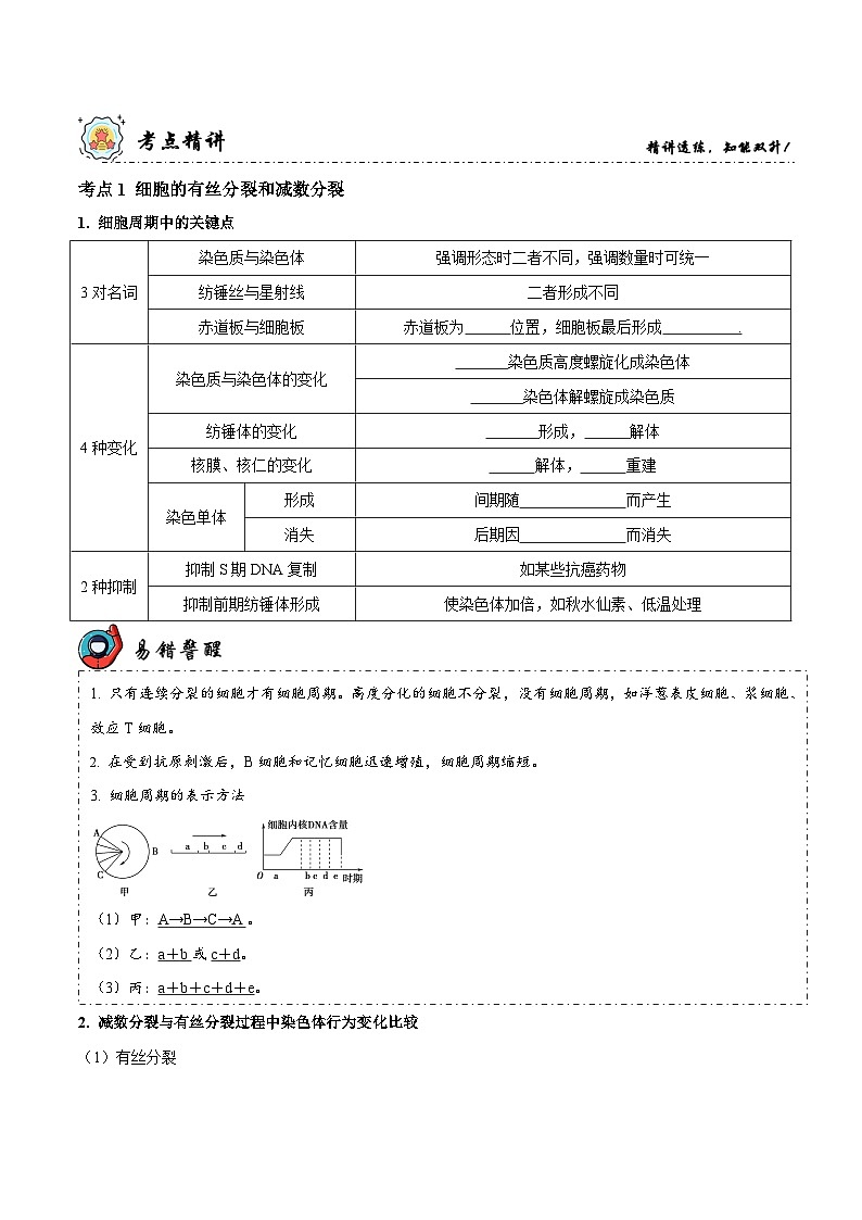 新高考生物二轮复习讲练测第5讲 细胞的分裂、分化、衰老和死亡（讲练）（原卷版）第3页
