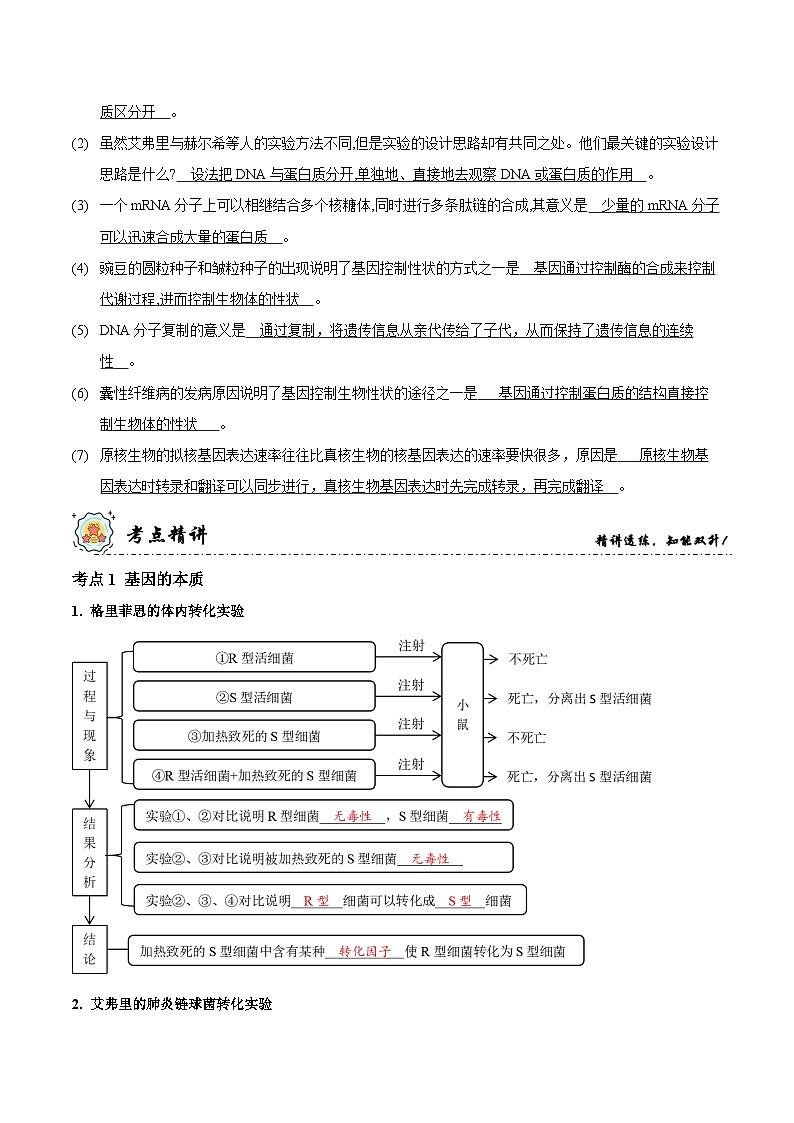 新高考生物二轮复习讲练测第6讲 遗传的分子基础（讲练）（2份，原卷版+解析版）03