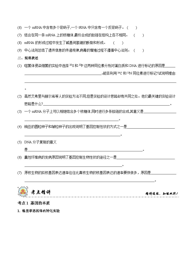 新高考生物二轮复习讲练测第6讲 遗传的分子基础（讲练）（2份，原卷版+解析版）02