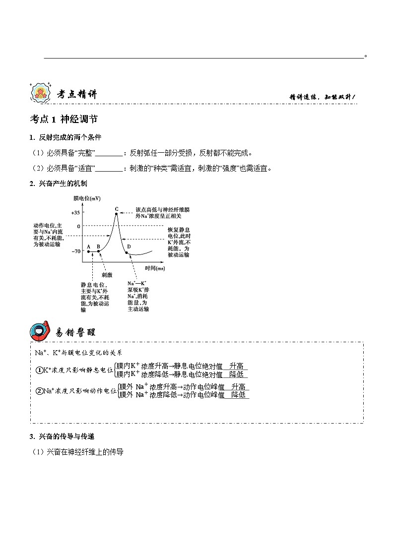 新高考生物二轮复习讲练测第9讲 神经调节与体液调节（讲练）（2份，原卷版+解析版）03