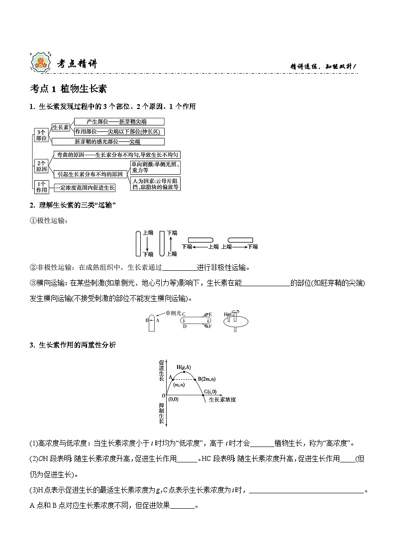 新高考生物二轮复习讲练测第11讲 植物生命活动的调节（讲练）（原卷版）第3页