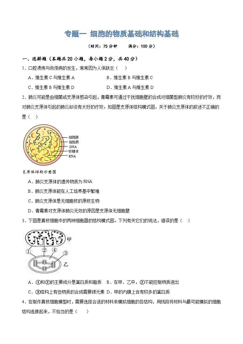 新高考生物二轮复习讲练测专题一 细胞的物质基础和结构基础（测试）（原卷版）第1页