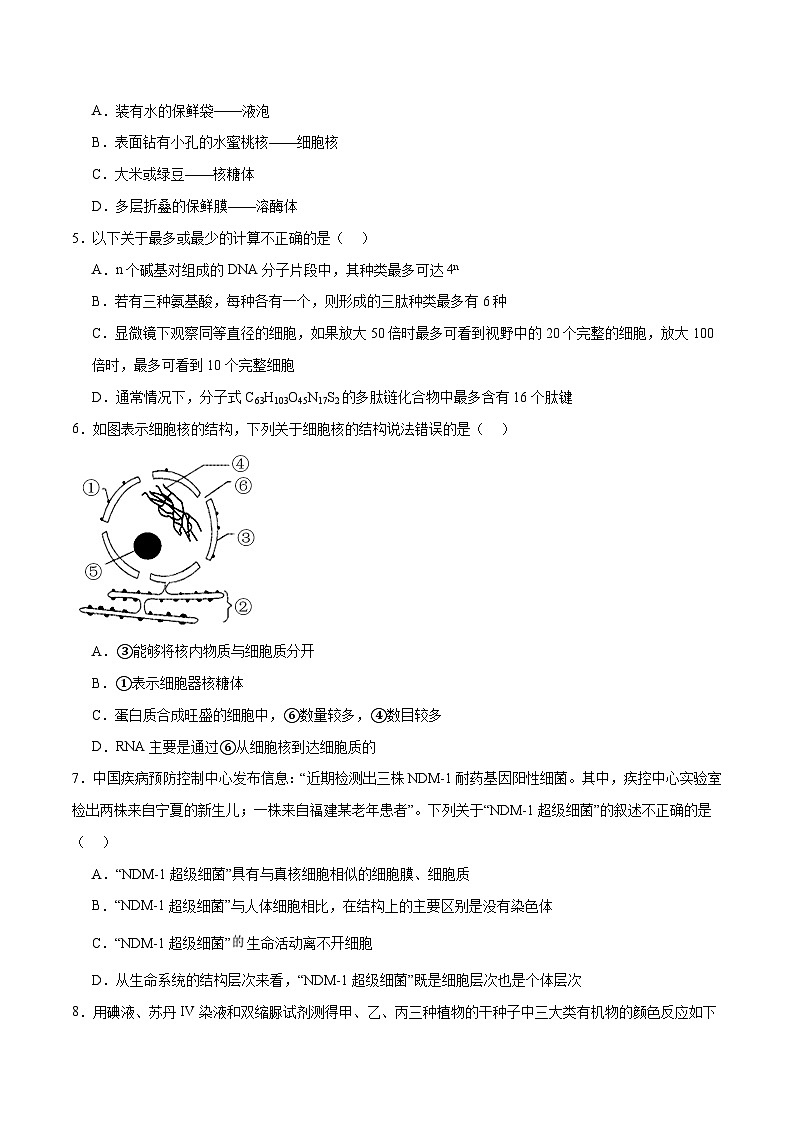 新高考生物二轮复习讲练测专题一 细胞的物质基础和结构基础（测试）（原卷版）第2页