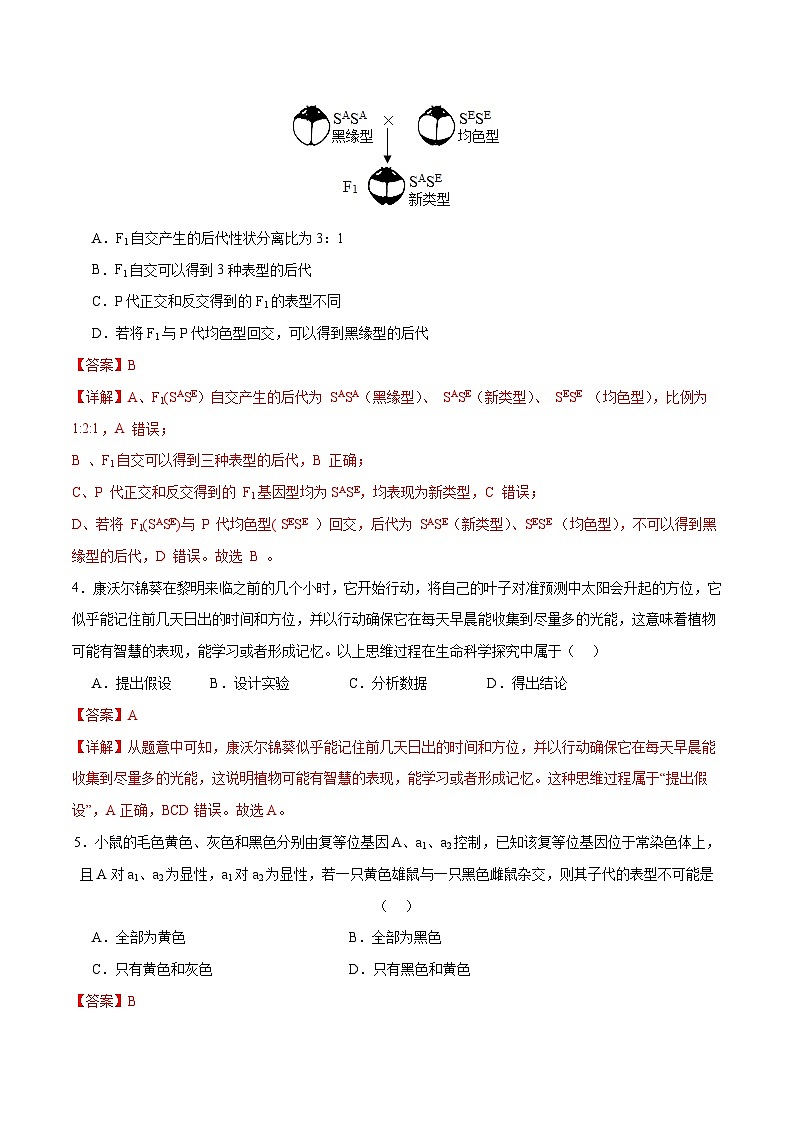 新高考生物二轮复习讲练测专题四 遗传的基本规律和人类遗传病（测试）（解析版）第2页