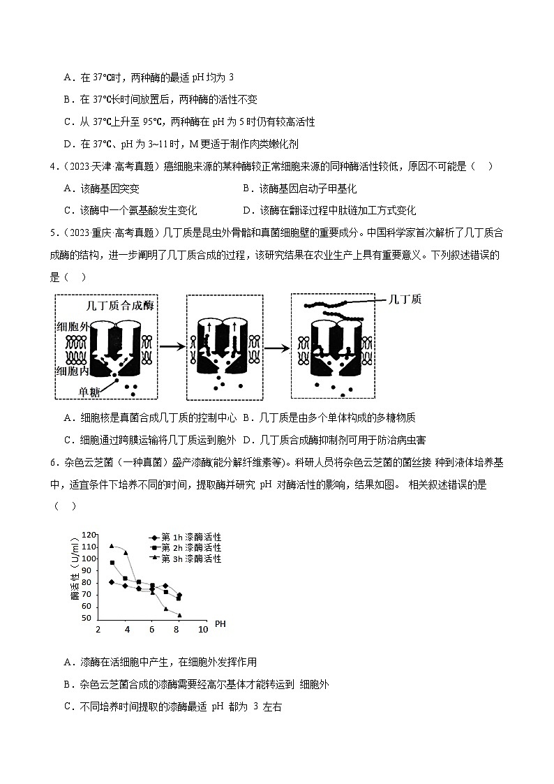 新高考生物二轮复习讲练测第03讲 酶和ATP（练习）（2份，原卷版+解析版）02