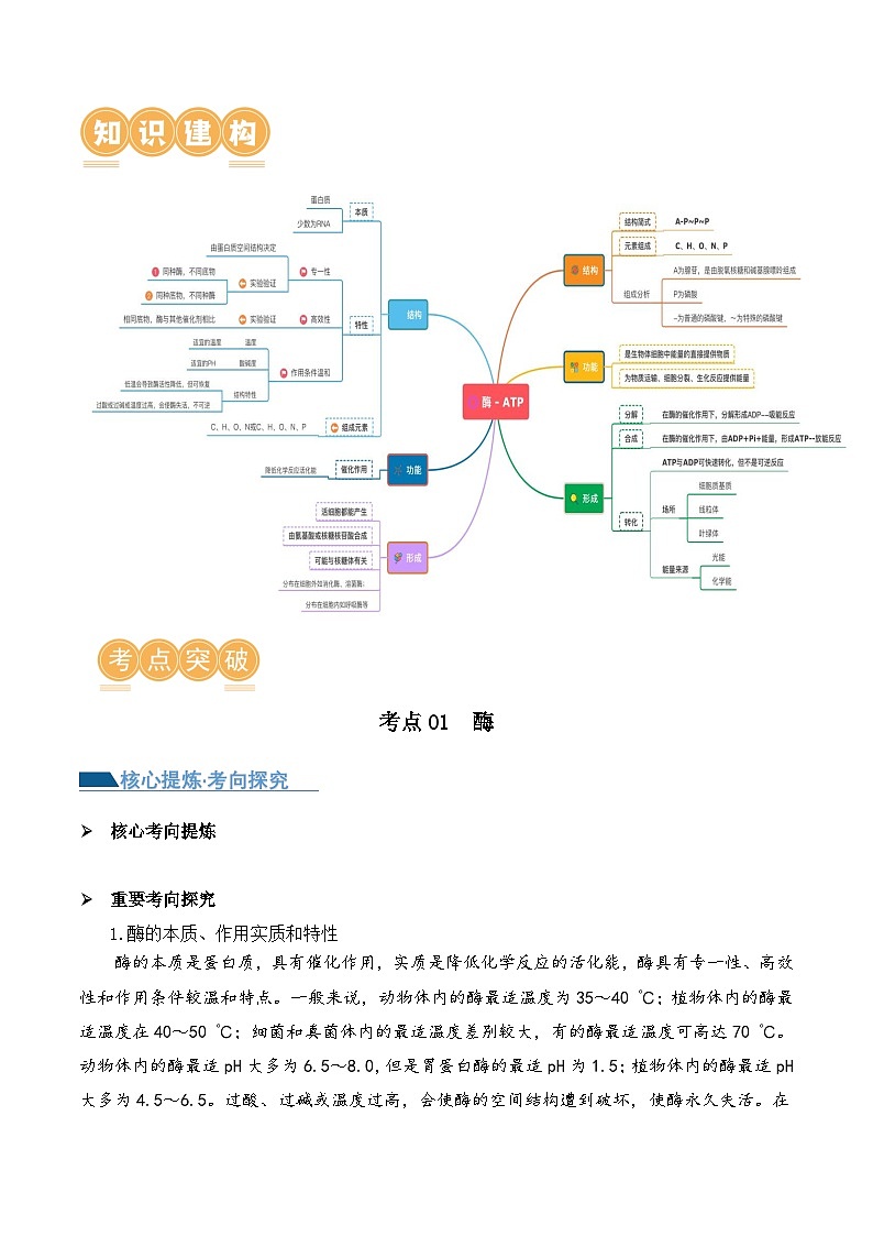 新高考生物二轮复习讲练测第03讲 酶和ATP（讲义）（2份，原卷版+解析版）02