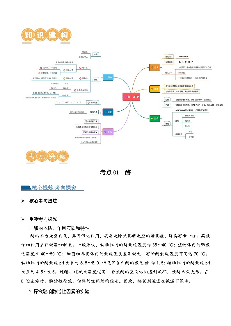 新高考生物二轮复习讲练测第03讲 酶和ATP（讲义）（2份，原卷版+解析版）02