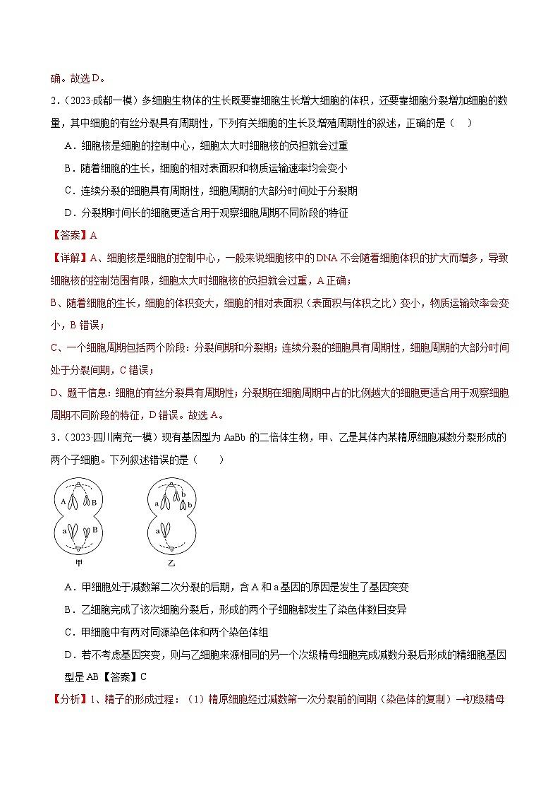 新高考生物二轮复习讲练测第05讲 细胞的增殖与受精作用（练习）（2份，原卷版+解析版）02