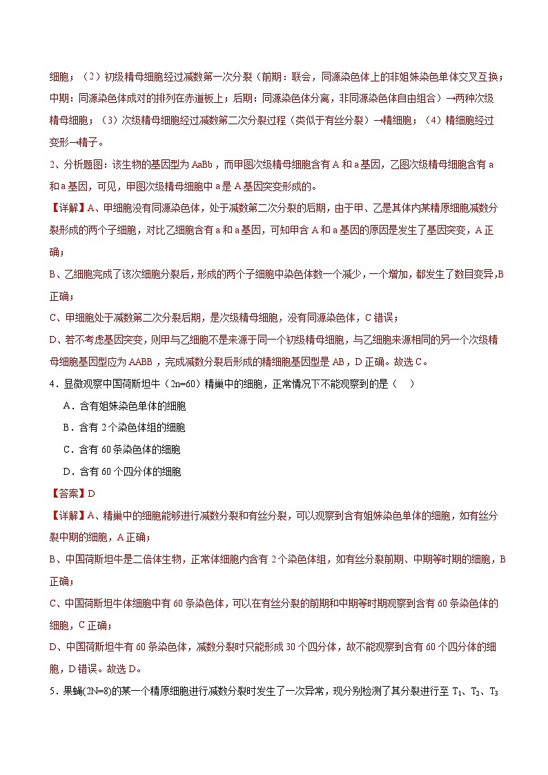新高考生物二轮复习讲练测第05讲 细胞的增殖与受精作用（练习）（2份，原卷版+解析版）03