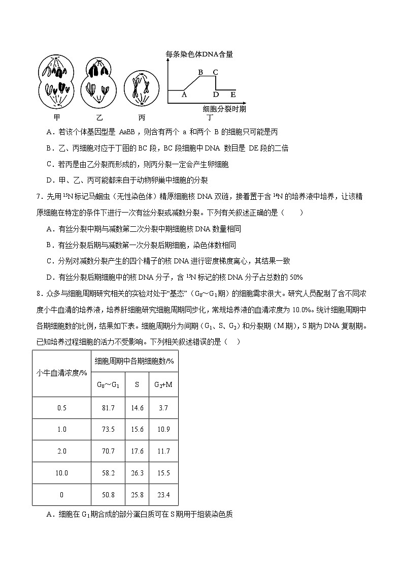 新高考生物二轮复习讲练测第05讲 细胞的增殖与受精作用（练习）（2份，原卷版+解析版）03