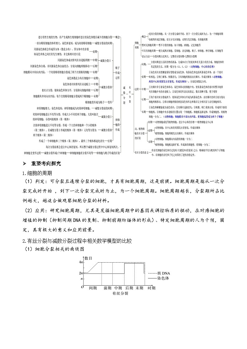 新高考生物二轮复习讲练测第05讲 细胞的增殖与受精作用（讲义）（2份，原卷版+解析版）03