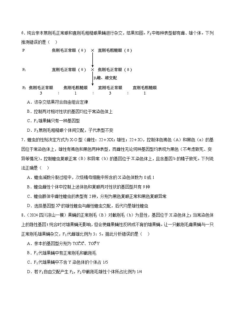 新高考生物二轮复习讲练测第08讲 伴性遗传和人类遗传病（练习）（原卷版）第3页