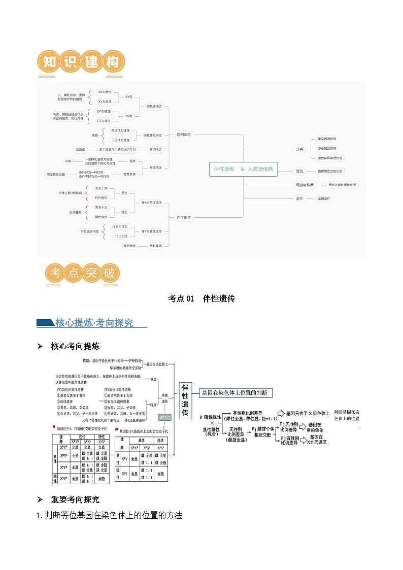 新高考生物二轮复习讲练测第08讲 伴性遗传和人类遗传病（讲义）（原卷版）第2页