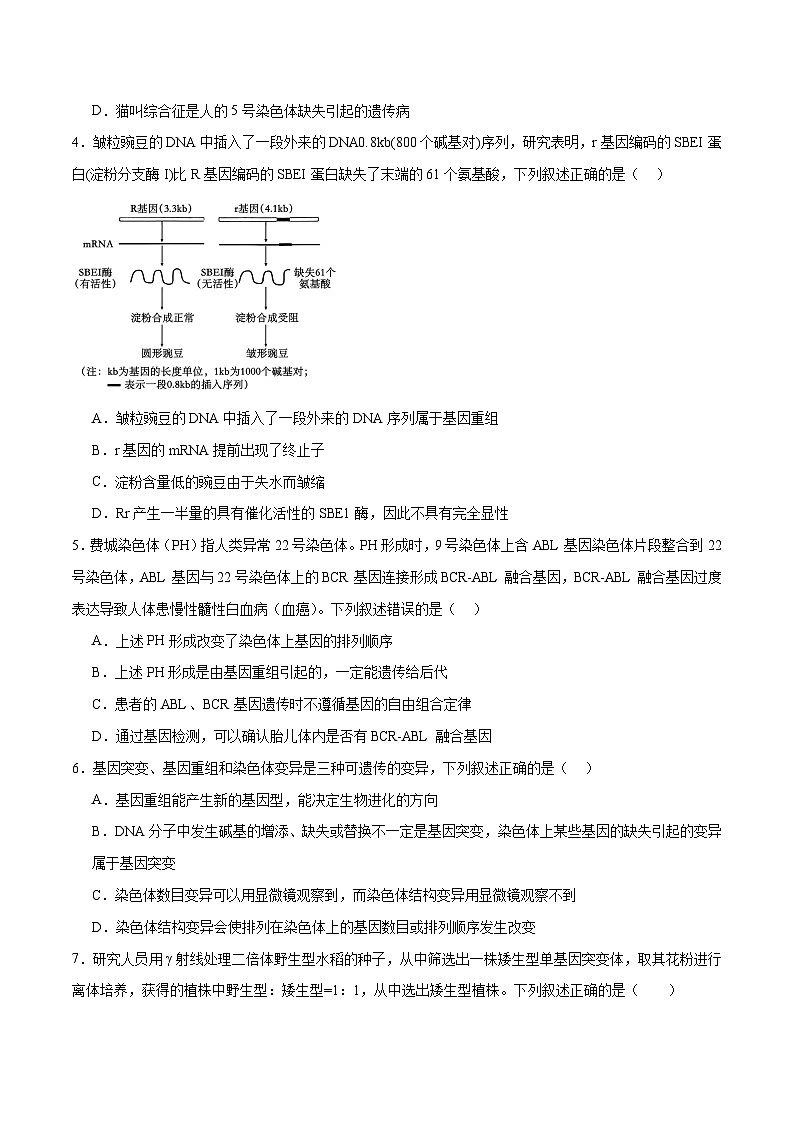新高考生物二轮复习讲练测第10讲 生物的变异和进化（练习）（原卷版）第2页