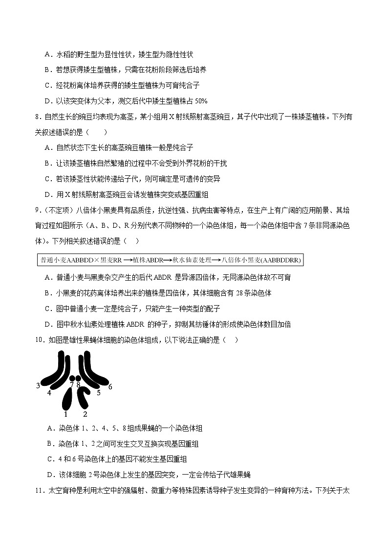 新高考生物二轮复习讲练测第10讲 生物的变异和进化（练习）（原卷版）第3页