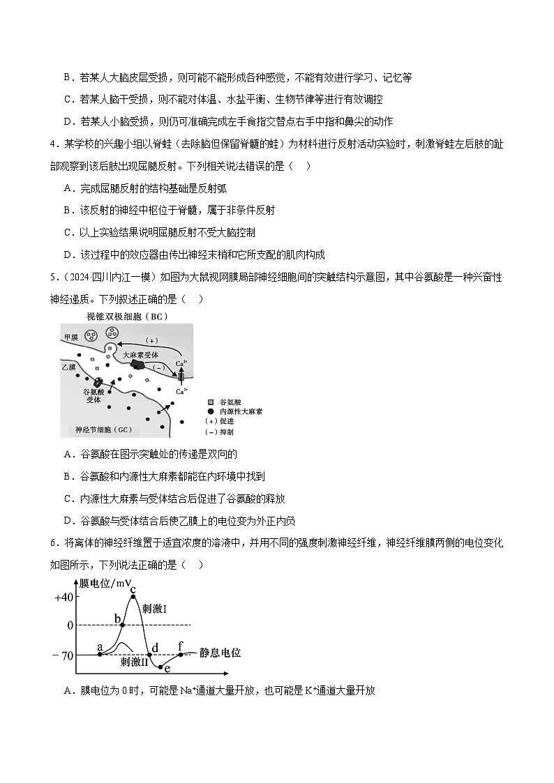 新高考生物二轮复习讲练测第11讲 神经调节和体液调节（练习）（原卷版）第2页