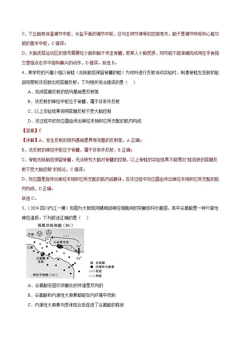 新高考生物二轮复习讲练测第11讲 神经调节和体液调节（练习）（解析版）第3页