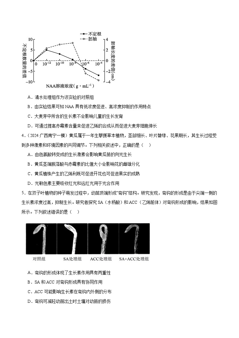 新高考生物二轮复习讲练测第13讲 植物生命活动的调节（练习）（原卷版）第2页