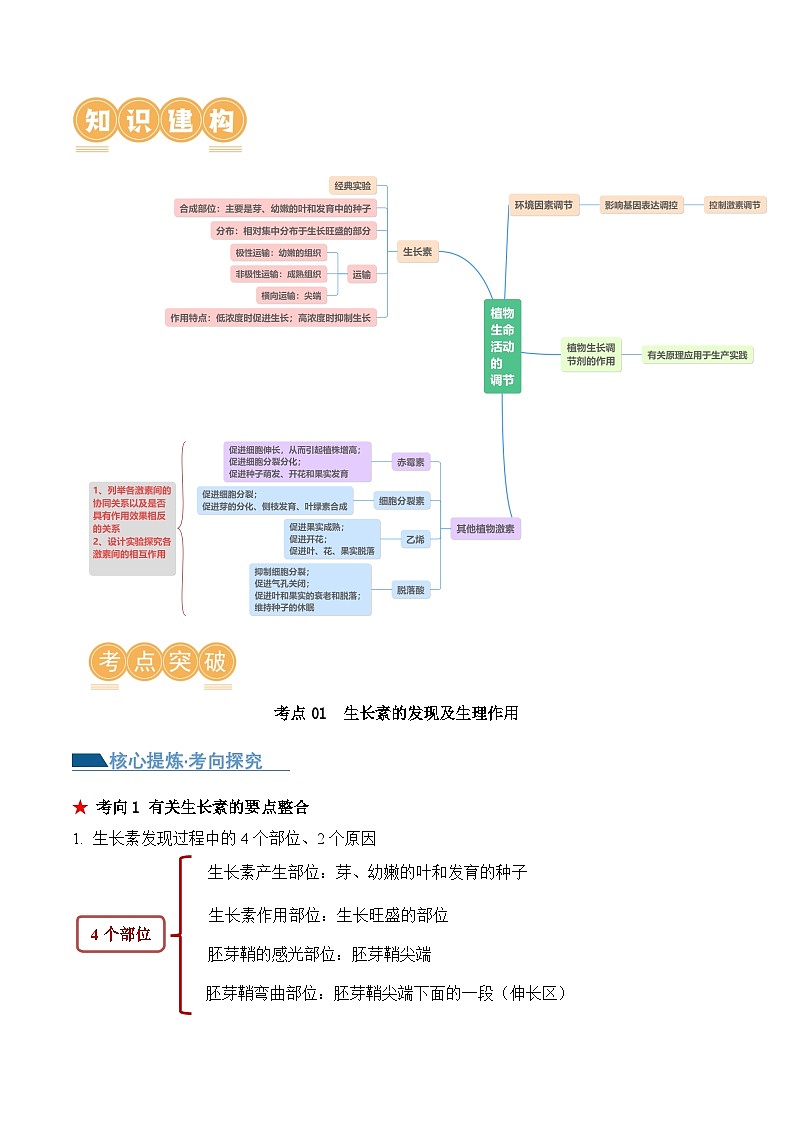 新高考生物二轮复习讲练测第13讲 植物生命活动的调节（讲义）解析版第2页