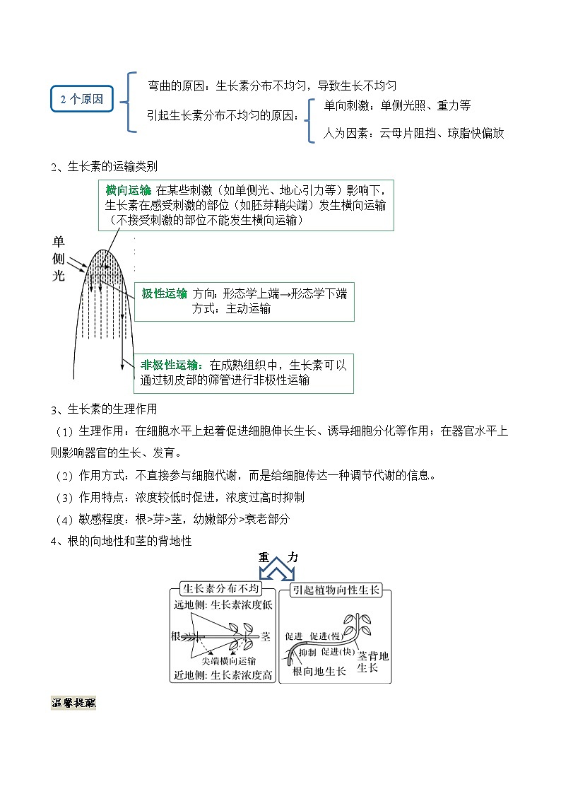 新高考生物二轮复习讲练测第13讲 植物生命活动的调节（讲义）解析版第3页