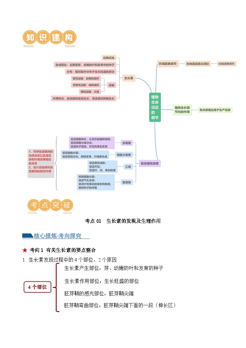 新高考生物二轮复习讲练测第13讲 植物生命活动的调节（讲义）原卷版第2页