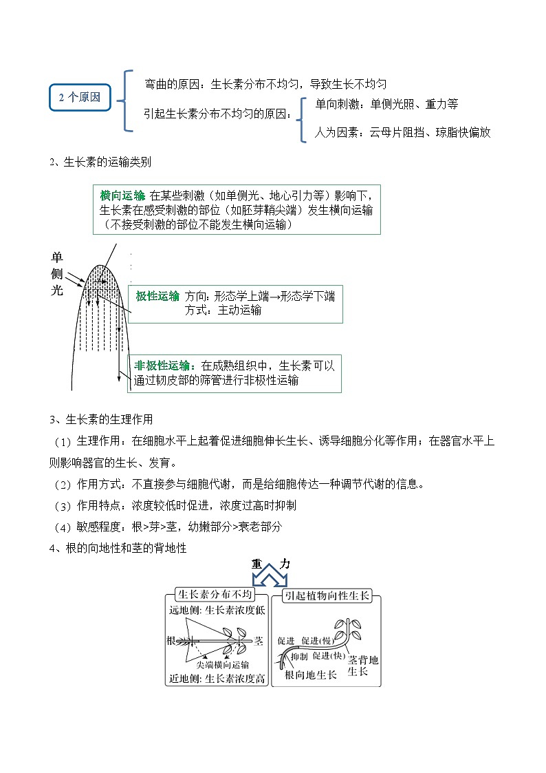 新高考生物二轮复习讲练测第13讲 植物生命活动的调节（讲义）原卷版第3页