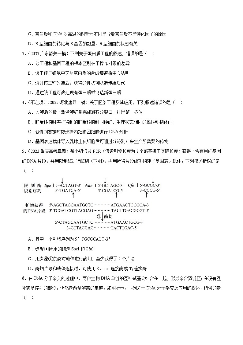 新高考生物二轮复习讲练测第18讲 基因工程（练习）（原卷版）第2页