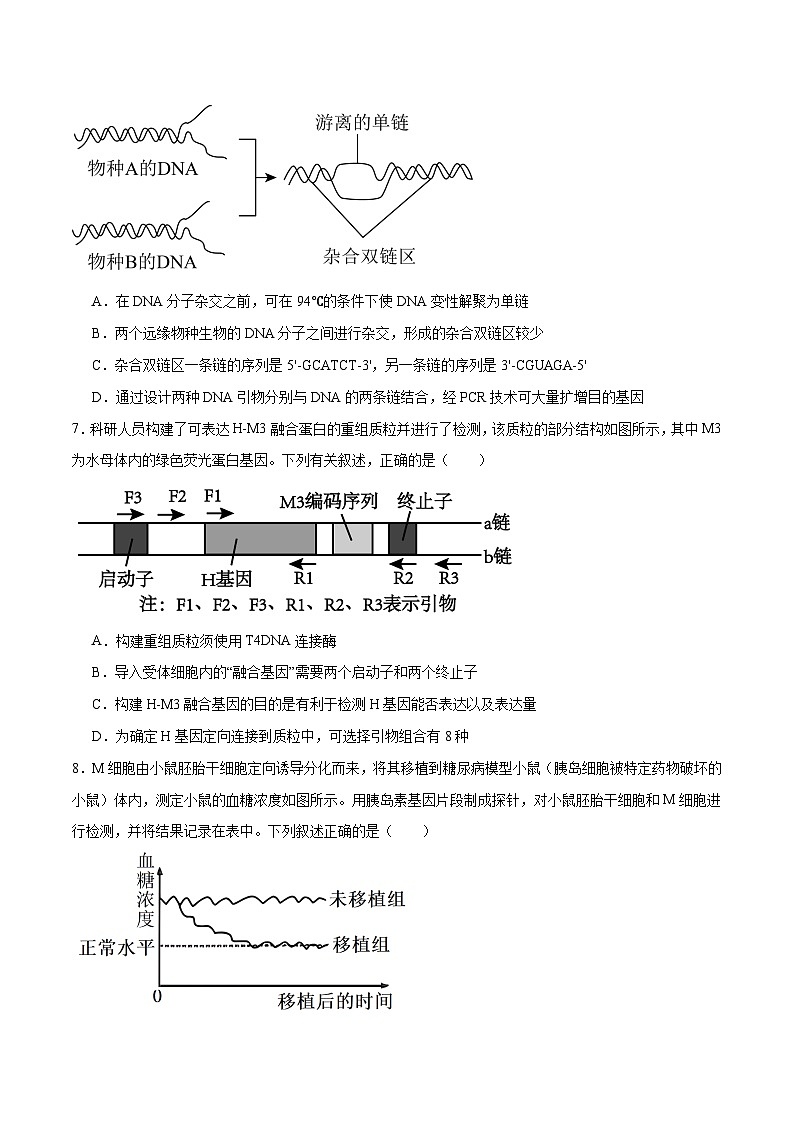 新高考生物二轮复习讲练测第18讲 基因工程（练习）（原卷版）第3页