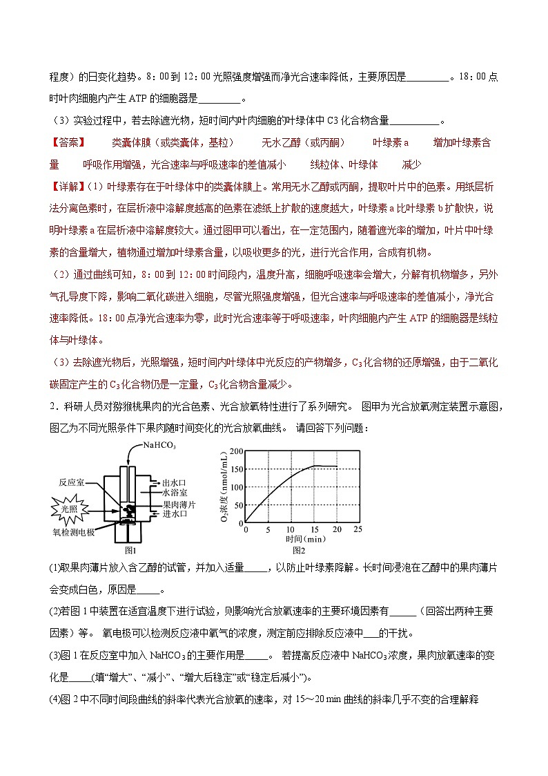 新高考生物二轮复习讲练测第19讲 实验与探究（练习）（2份，原卷版+解析版）02