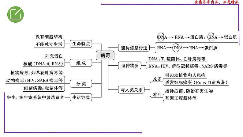 （新人教版）新高考生物一轮复习精讲课件01 病毒（含答案）第3页