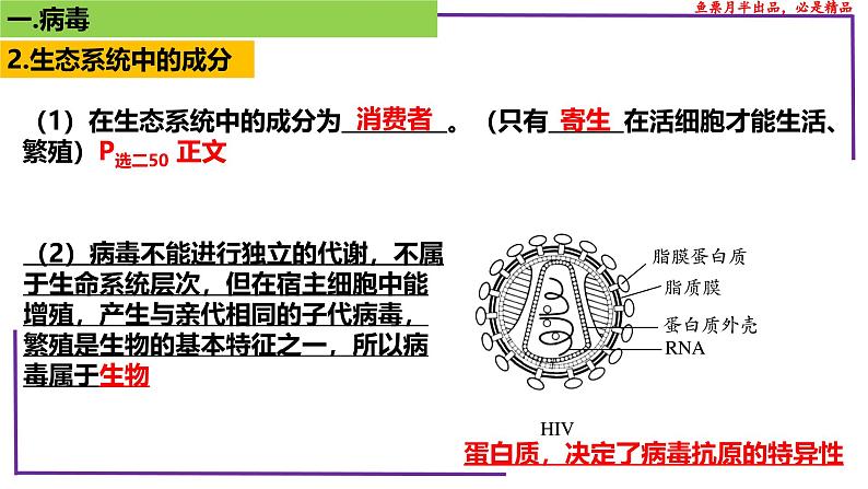 （新人教版）新高考生物一轮复习精讲课件01 病毒（含答案）第6页