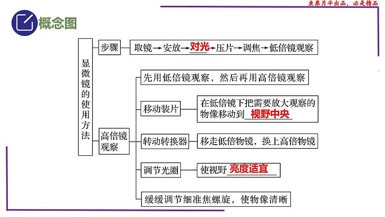 （新人教版）新高考生物一轮复习精讲课件03 显微镜（含答案）第3页