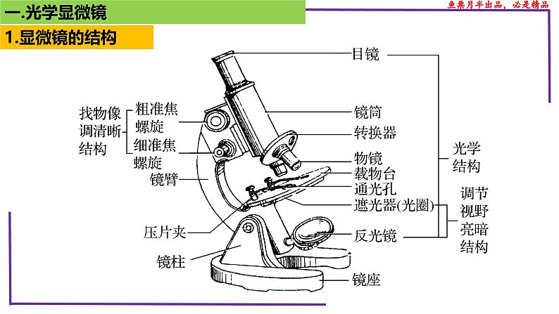 （新人教版）新高考生物一轮复习精讲课件03 显微镜（含答案）第4页