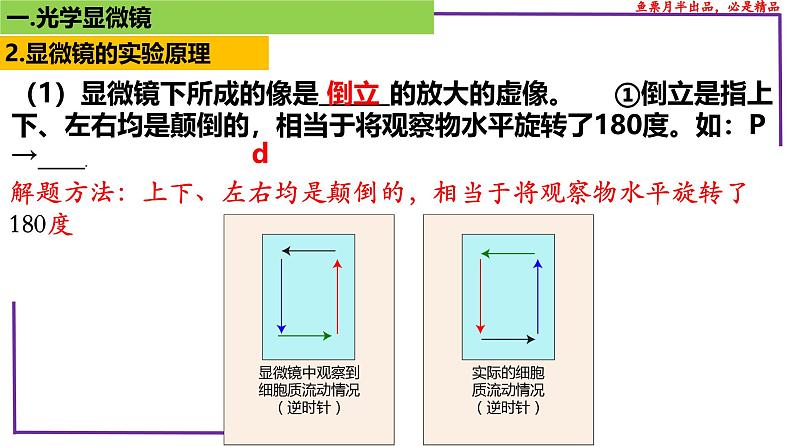 （新人教版）新高考生物一轮复习精讲课件03 显微镜（含答案）第5页