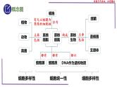 （新人教版）新高考生物一轮复习精讲课件04 细胞的多样性和统一性（含答案）