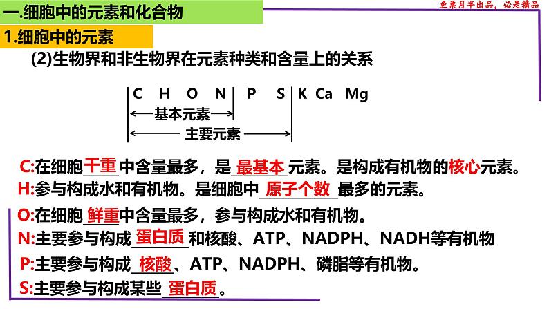 （新人教版）新高考生物一轮复习精讲课件05 元素和化合物 水 无机盐、物质检测（含答案）第7页