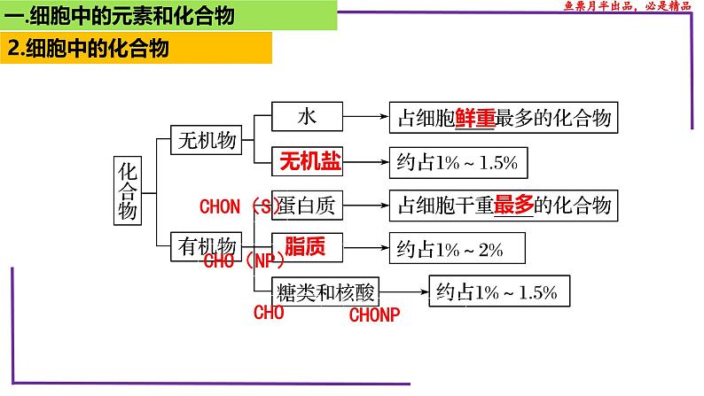 （新人教版）新高考生物一轮复习精讲课件05 元素和化合物 水 无机盐、物质检测（含答案）第8页