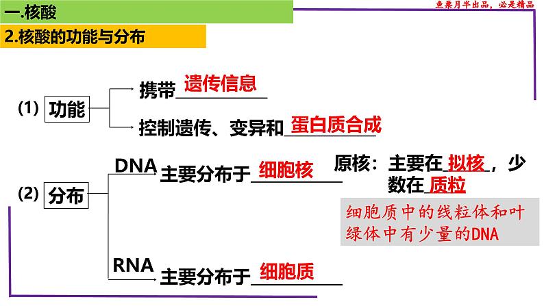 （新人教版）新高考生物一轮复习精讲课件07 核酸、糖类和脂质（含答案）第5页