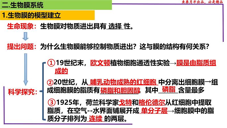 （新人教版）新高考生物一轮复习精讲课件08 细胞膜、生物膜系统、物质输入输出（含答案）第6页