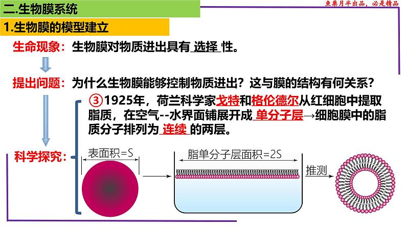 （新人教版）新高考生物一轮复习精讲课件08 细胞膜、生物膜系统、物质输入输出（含答案）第7页