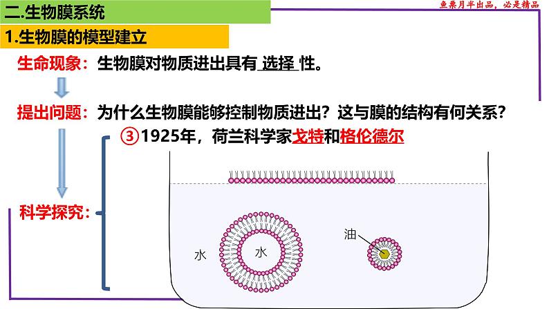 （新人教版）新高考生物一轮复习精讲课件08 细胞膜、生物膜系统、物质输入输出（含答案）第8页