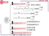 （新人教版）新高考生物一轮复习精讲课件16 细胞呼吸（含答案）